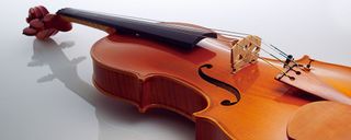 Violin