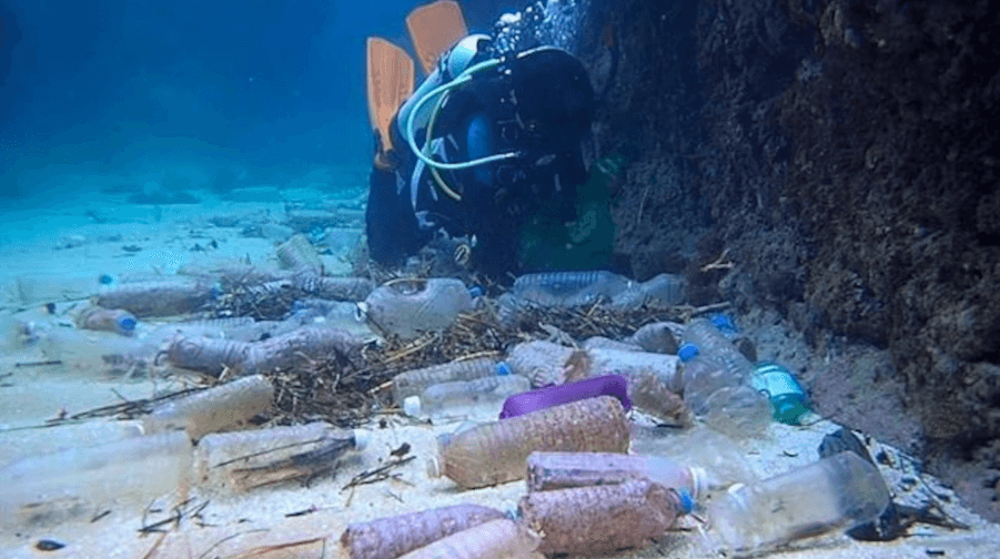 Influence of Humans on Ocean's Vertical Zones