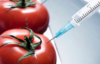 Are GMO Foods Safe for Our Health?
