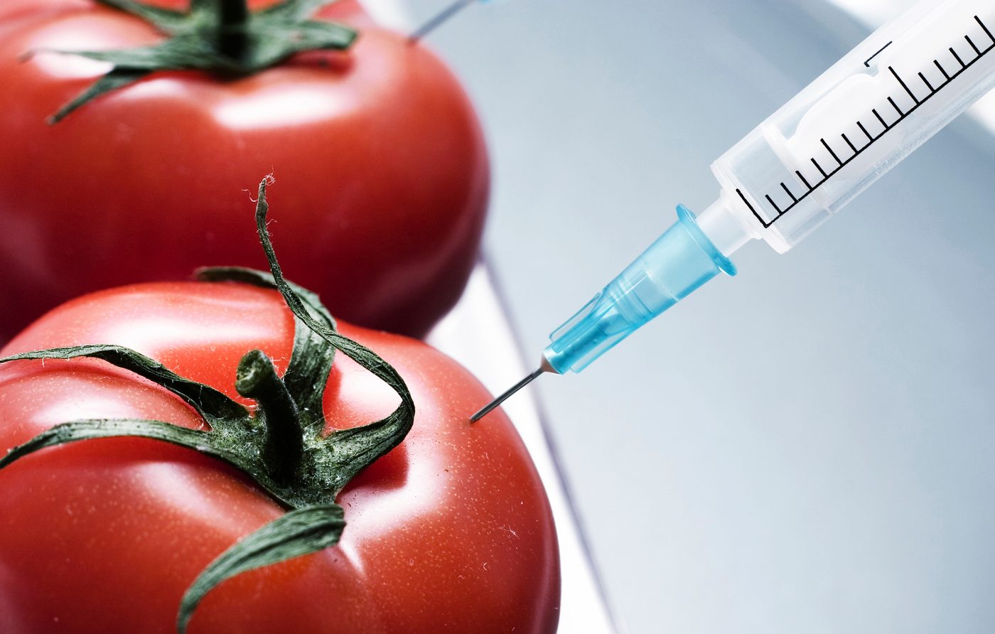 Are GMO Foods Safe for Our Health?