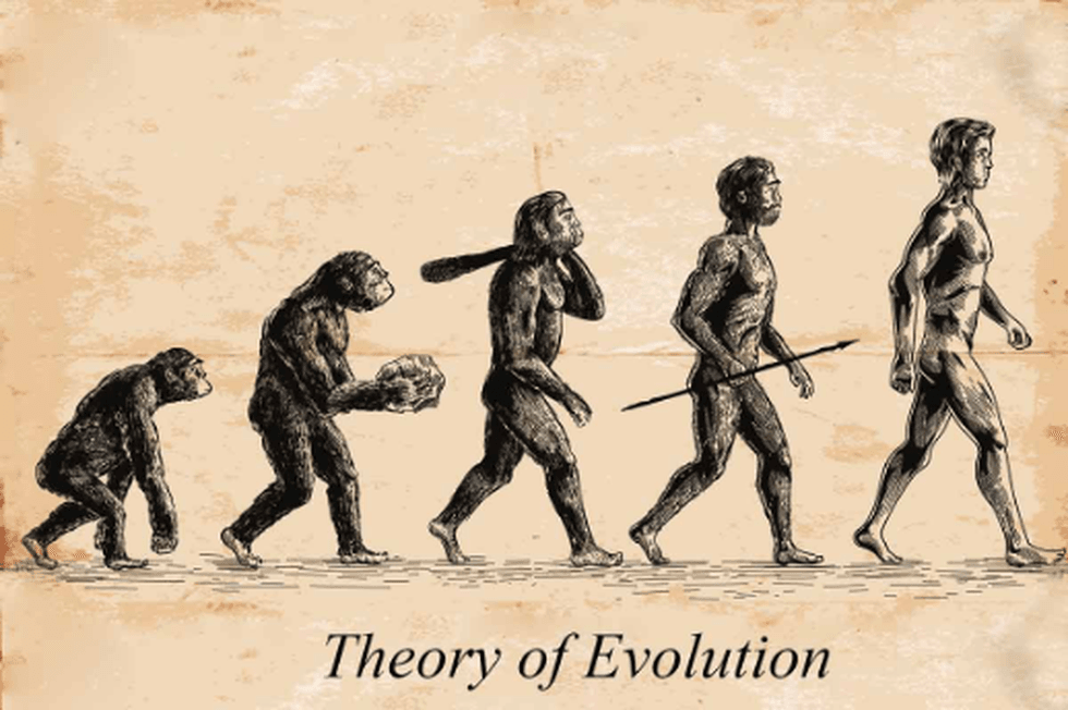 Change Over Time: Evolution