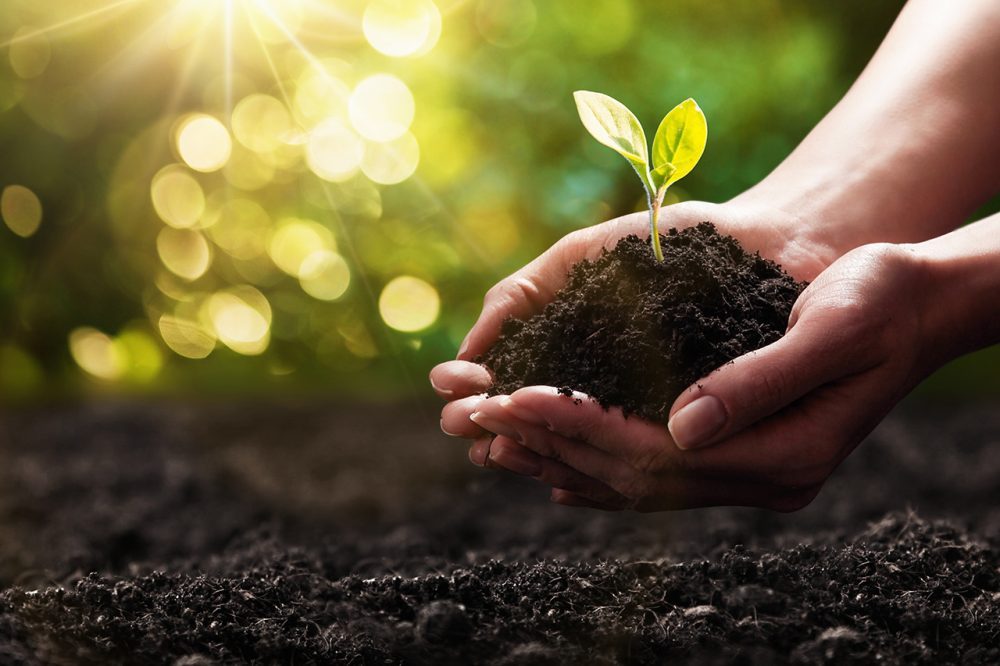 Soil: Foundation of Life