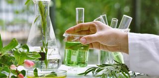 Medicinal Plants