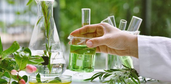 Medicinal Plants