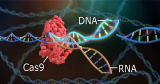 Genome Editing: CRISPR-Cas9