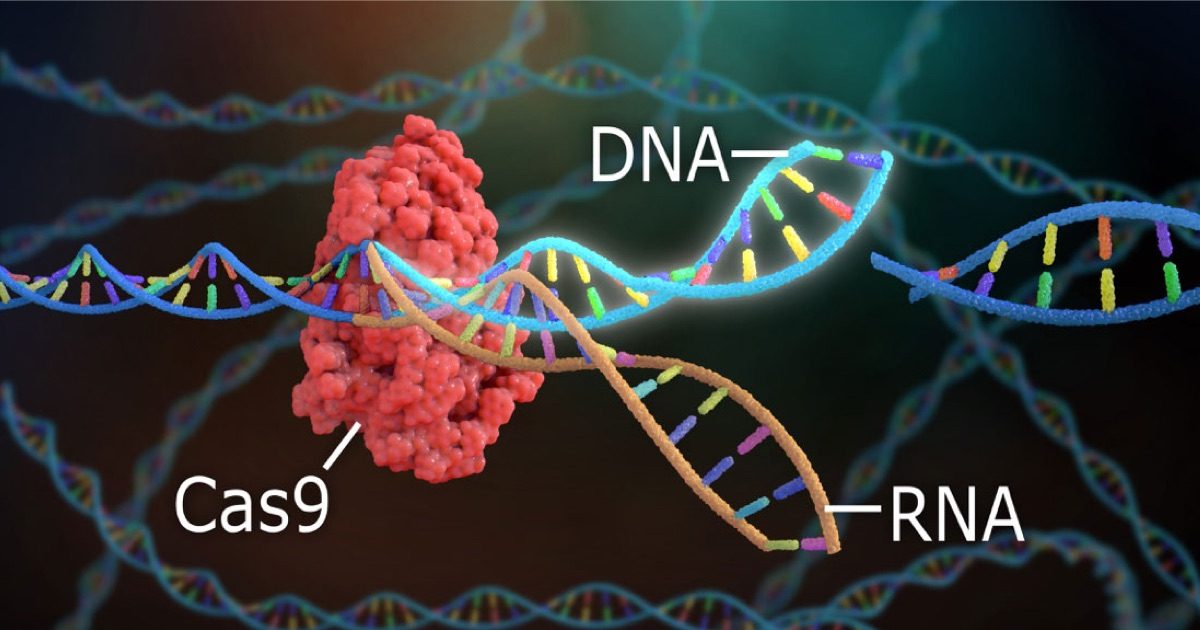 Genome Editing: CRISPR-Cas9