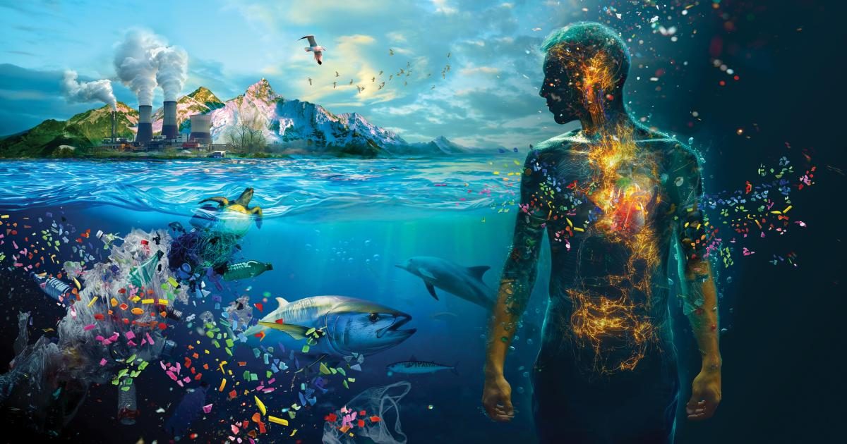 Effects of Microplastic Consumption on Aquatic Creatures